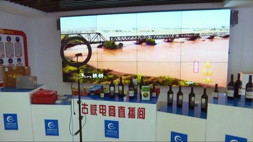 京東集團(tuán)西北區(qū)總部考察青銅峽市電子商務(wù)服務(wù)，共謀區(qū)域數(shù)字經(jīng)濟(jì)發(fā)展新篇章