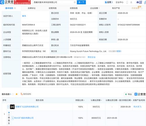 科大訊飛在西藏布局 新公司含多項AI業務，人工智能應用迎來區域新范例