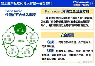 松下電器安全生產(chǎn)標(biāo)準(zhǔn)化工作及電經(jīng)營增值信業(yè)務(wù)介紹